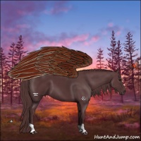 Horse Color:Chocolate Black