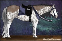 Horse Color:Grullo Sabino Splash and Brown Dun Sabino Splash