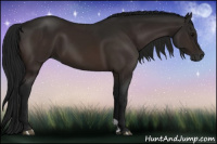 Horse Color:Gray Brown 