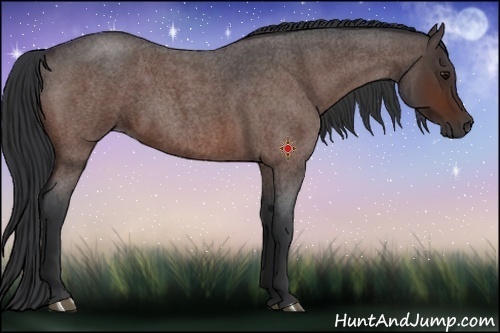 Horse Color:Brown Roan