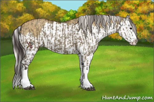 Horse Color:Smoky Grullo Sabino Splash  and Silver Smoky Grullo Sabino Splash 