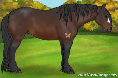 Horse Color:Brown 