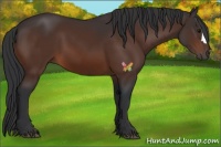 Horse Color:Brown 