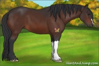 Horse Color:Brown 