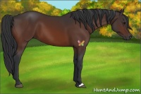 Horse Color:Brown 