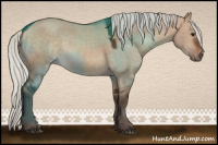 Horse Color:Silver Brown Dun
