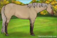 Horse Color:Silver Brown Dun 