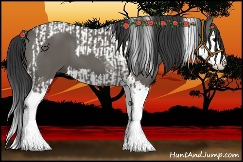 Horse Color:Grullo Sabino Splash  and Grullo Sabino Splash Tobiano 