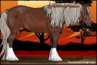 Horse Color:Silver Bay 