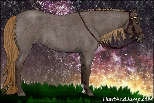 Horse Color:Liver Red Roan 
