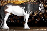 Horse Color:Brown Splash Frame 