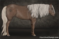 Horse Color:Silver Black 