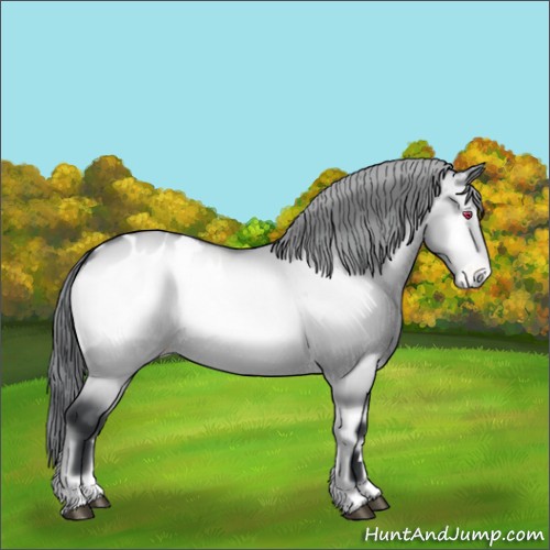 Horse Color:Brown Chinchilla Onyx Appaloosa Rabicano 