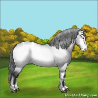 Horse Color:Brown Chinchilla Onyx Blanket Rabicano 