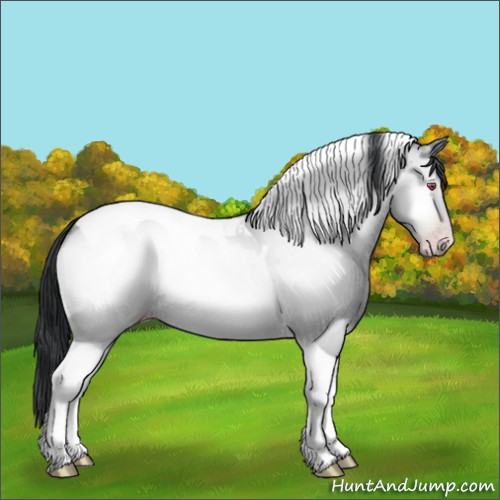 Horse Color:Amber Champagne Chinchilla Onyx Tobiano 