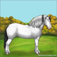 Horse Color:Amber Champagne Chinchilla Onyx Tobiano 