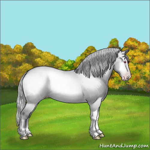 Horse Color:Silver Amber Champagne Chinchilla Roan Onyx