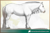 Horse Color:Brown Onyx Varnish 