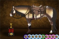 Horse Color:Liver Red Onyx Appaloosa 