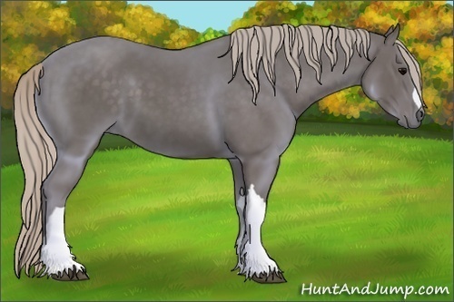 Horse Color:Silver Black