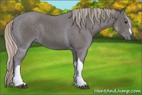 Horse Color:Silver Black 