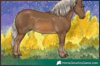 Horse Color:Chocolate Palomino 