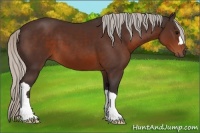 Horse Color:Silver Brown 