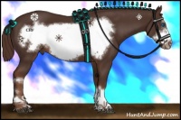 Horse Color:Liver Chestnut Frame 
