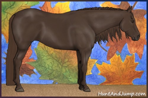 Horse Color:Liver Chestnut 