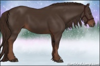 Horse Color:Liver Chestnut 