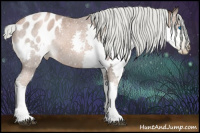 Horse Color:Gray Liver Red Roan Pearl Mushroom Splash Appaloosa