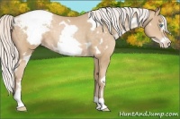 Horse Color:White Spotted Silver Buckskin Pearl Frame Varnish