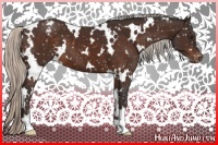 Horse Color:White Spotted Silver Brown Snowflake Varnish