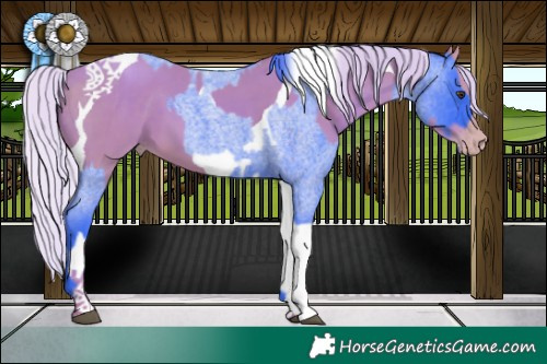 Horse Color:Watercolor Liver Red Roan  and Watercolor Silver Sable Champagne Tobiano 