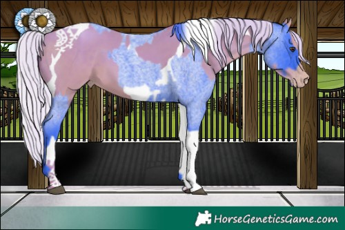 Horse Color:Watercolor Liver Red Roan  and Watercolor Silver Sable Champagne Tobiano 