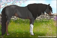 Horse Color:Liver Red Roan 