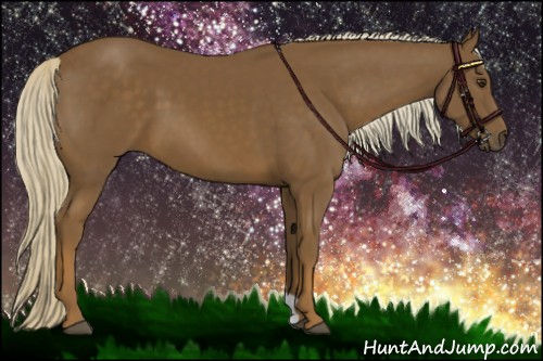 Horse Color:Chocolate Palomino 