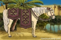 Horse Color:Palomino Dun Splash 