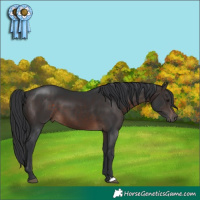 Horse Color:Brown Mushroom 
