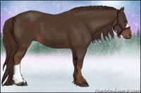 Horse Color:Liver Chestnut 