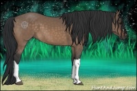 Horse Color:Brown Dun 