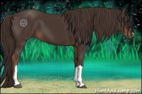 Horse Color:Liver Chestnut 