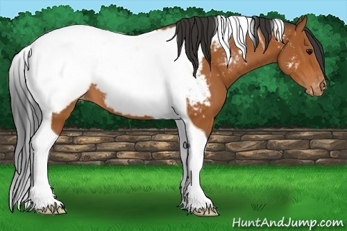 Horse Color:Bay Tobiano Near Fewspot