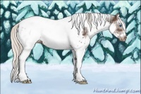 Horse Color:White Spotted Silver Black Splash Tobiano Frame Appaloosa