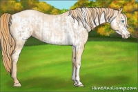 Horse Color:Chocolate Palomino Roan Pearl  and Buckskin Roan Pearl Frame 