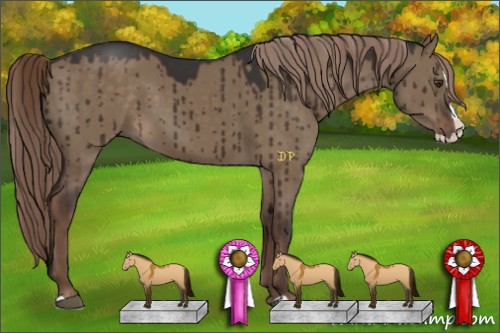 Horse Color:Liver Red Dun Splash 