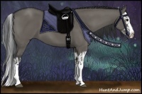 Horse Color:Grullo Sabino Splash  and Grullo Sabino Splash 