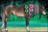 Horse Color:Brown Sabino 