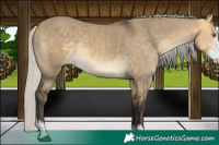 Horse Color:Silver Buckskin Dun Mushroom Sabino 