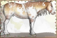 Horse Color:White Spotted Silver Buckskin Onyx 